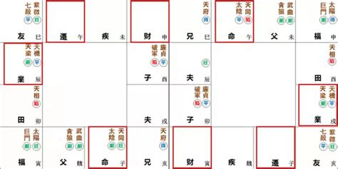 己年生人|紫微命盤解析——天同、太陰于子午宮守命